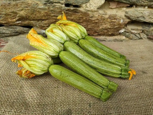 zucchine chiare fresche appena raccolte con fiore
