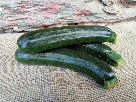 Zucchine scure fresche biologiche