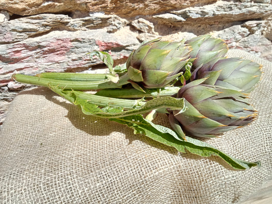 Carciofi spinosi con gambo e foglia BIO - 3 pezzi